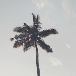 Meet your Posher, Joanne